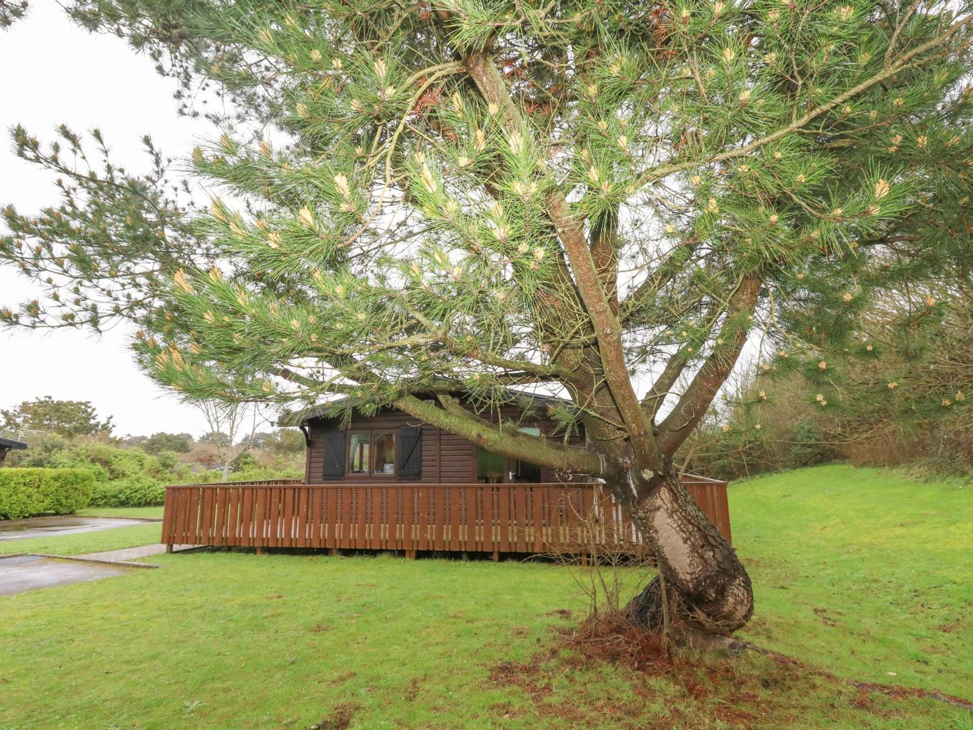 16 Amber Wood Lodge Lymington Esterno foto